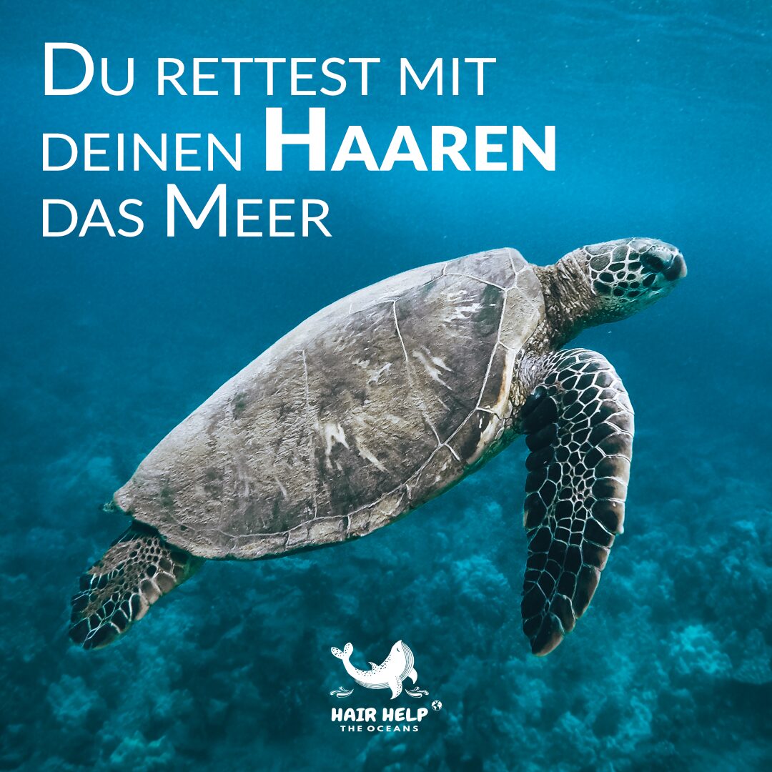Mit Haaren das Meer retten!!